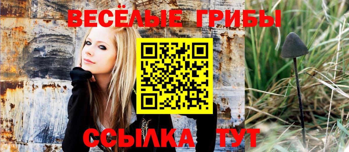 Псилоцибиновые грибы Magic Shrooms Батайск