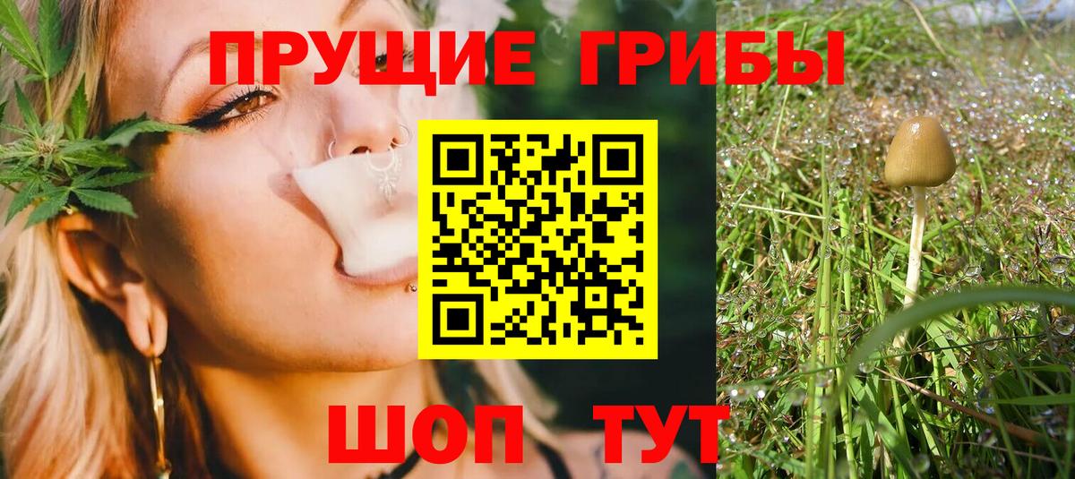 Батайск  Псилоцибиновые грибы Magic Shrooms  Вход с VPN 